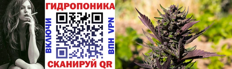 как найти Звенигород Канабис SATIVA & INDICA